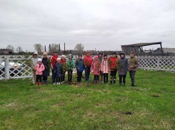 Акция "Посади дерево"