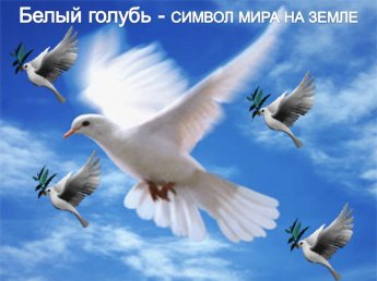 Акция "Голубь МИРА"